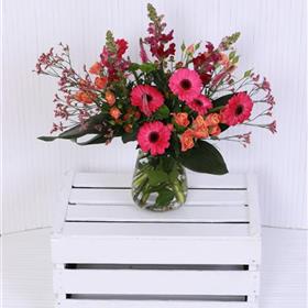 fwthumbMums Gerbera Joy.jpg